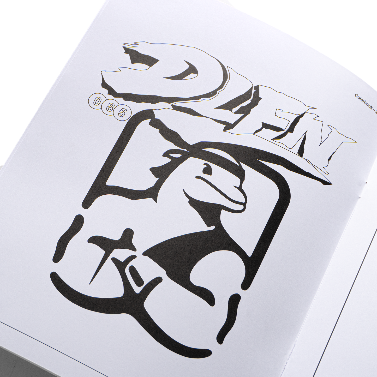 RAYONES DLFN 2.0 - COLOR BOOK
