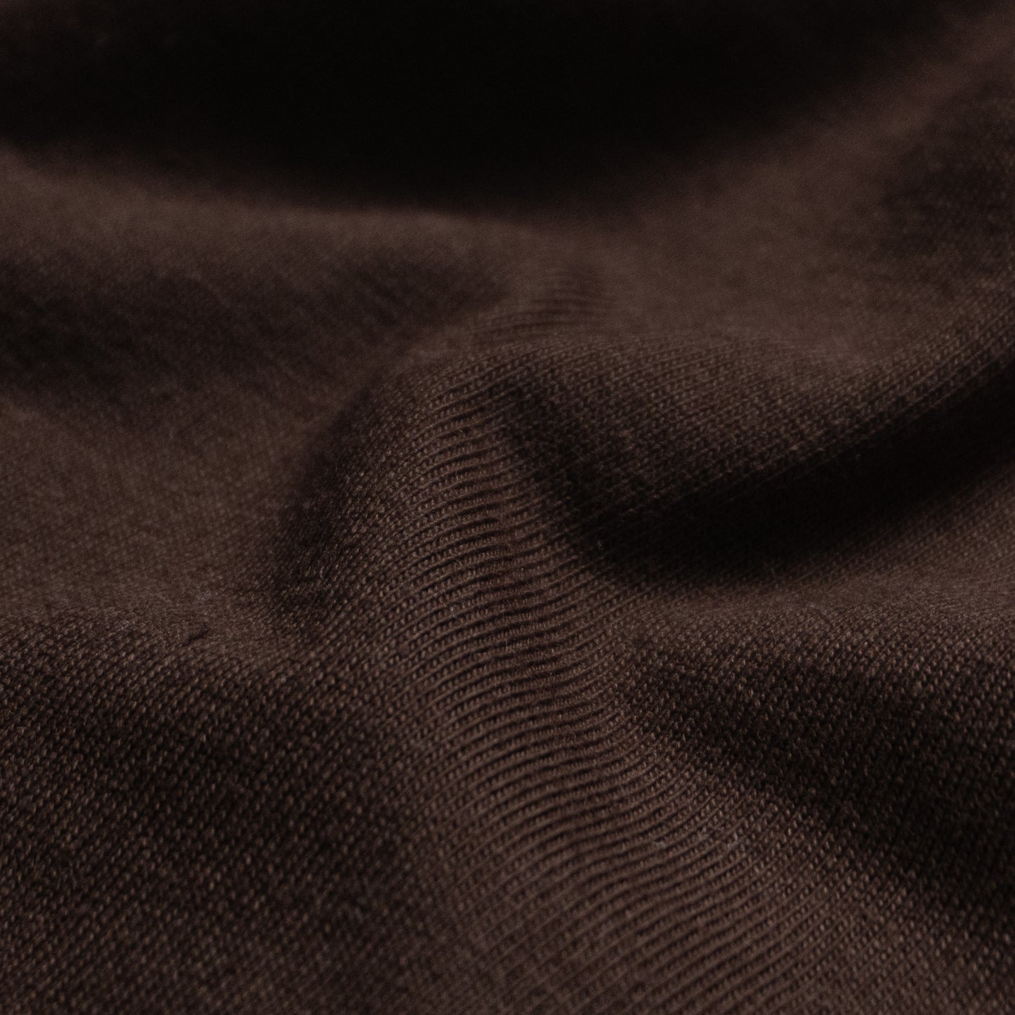 CAMPEONES RINGER T-SHIRT - BROWN