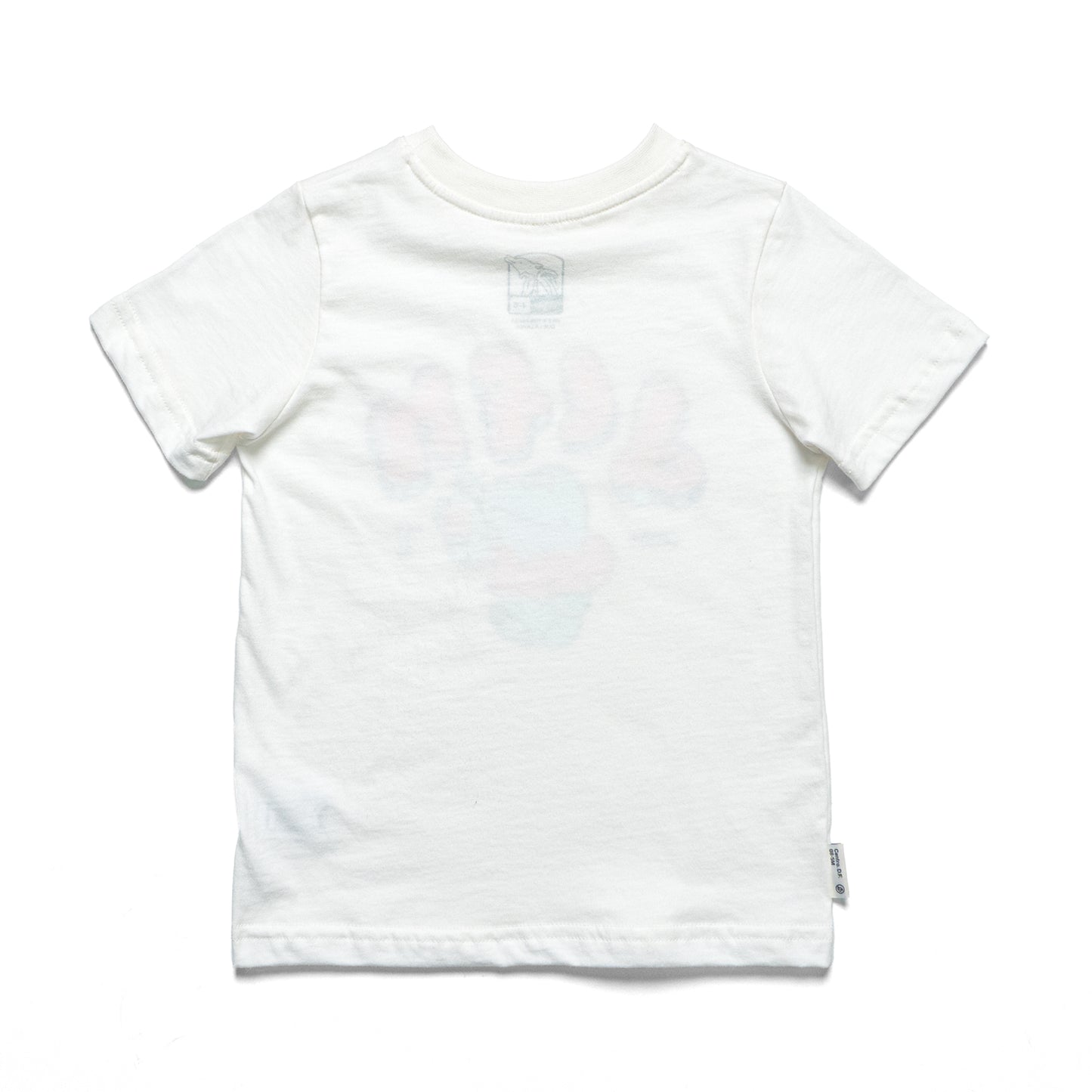 TRAZOS - T-SHIRT / CREAM