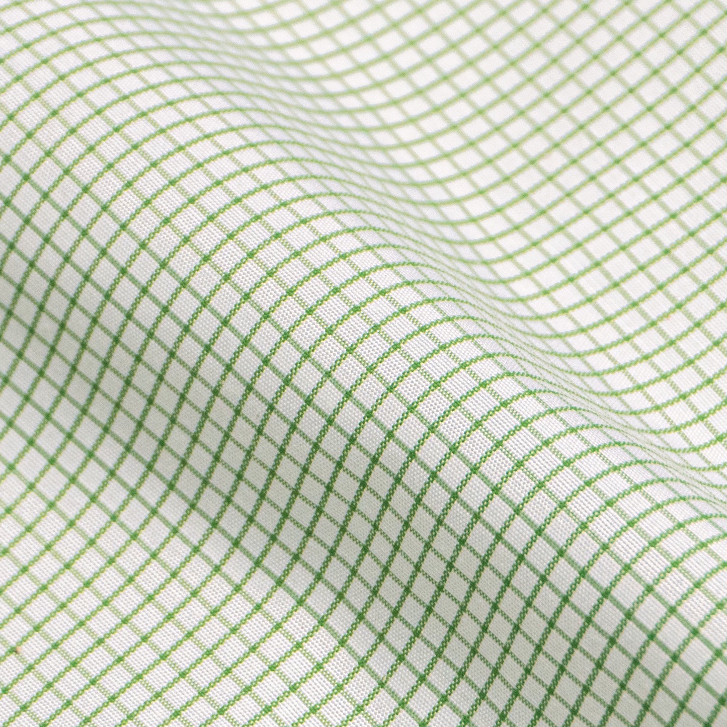 DIZZY LOGO - ZAPPA T-SHIRT - GREEN