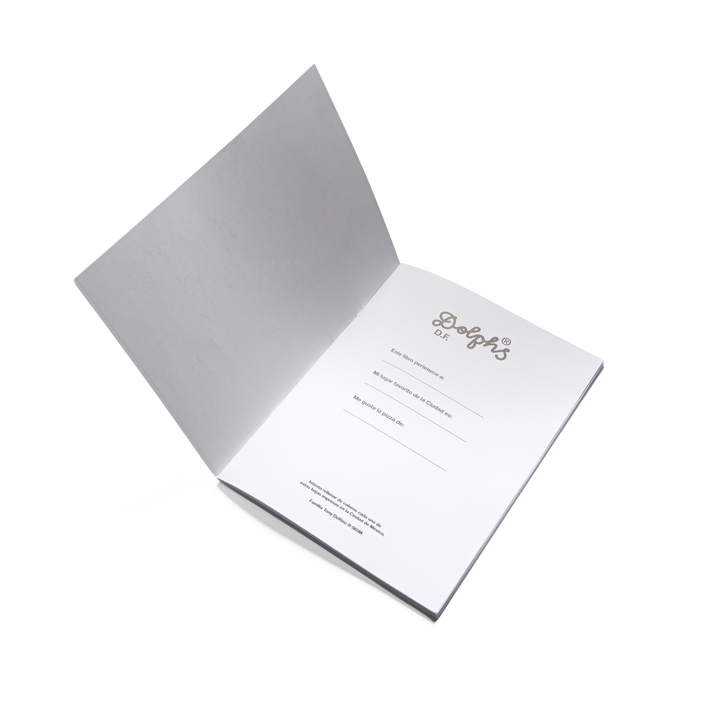 RAYONES DLFN 2.0 - COLOR BOOK
